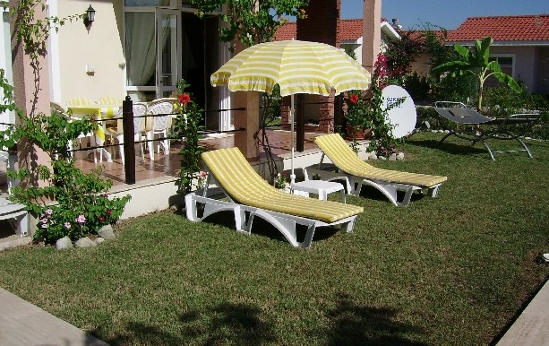 general view.3