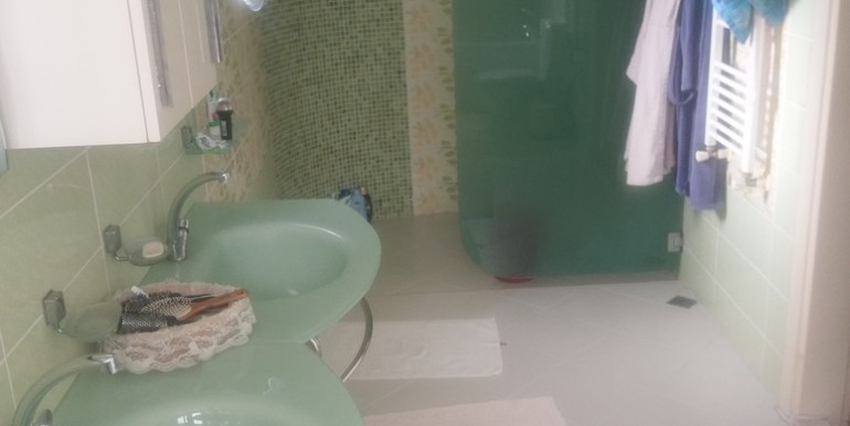 IMAG2291