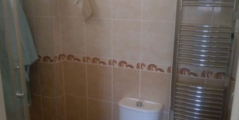 IMAG2294